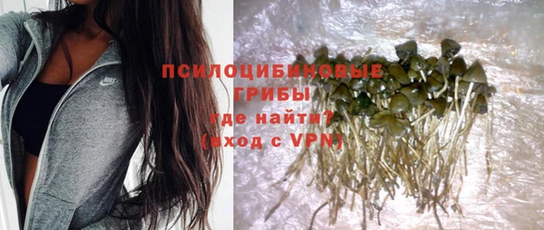 каннабис Абаза